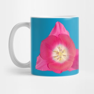 Pink Tulip Mug